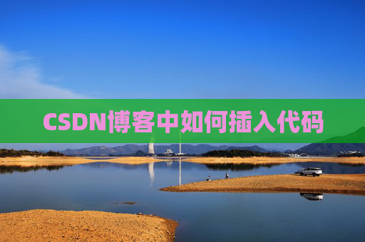 CSDN博客中如何插入代码